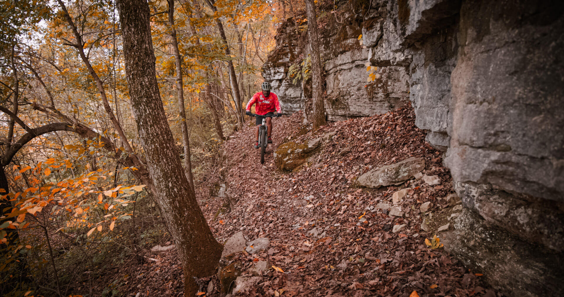 Back 40 Trail System